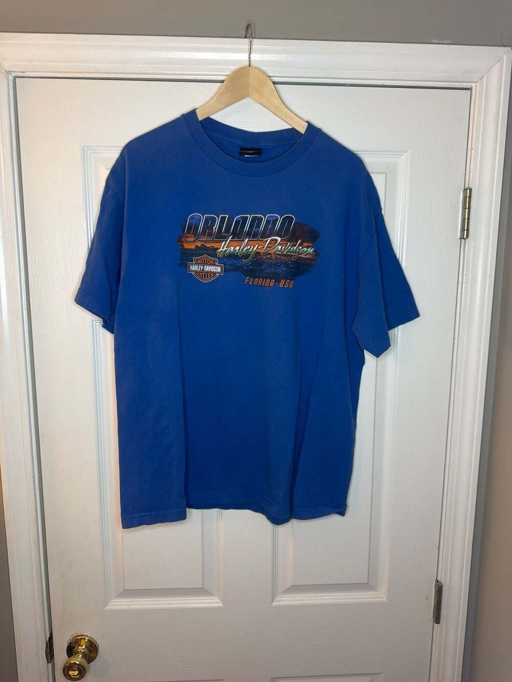Vintage 2014 Harley-Davidson Orlando Florida Alligator Graphic T-Shirt XL Blue
